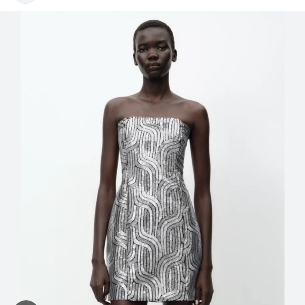 Zara Strapless Black and Silver Dress